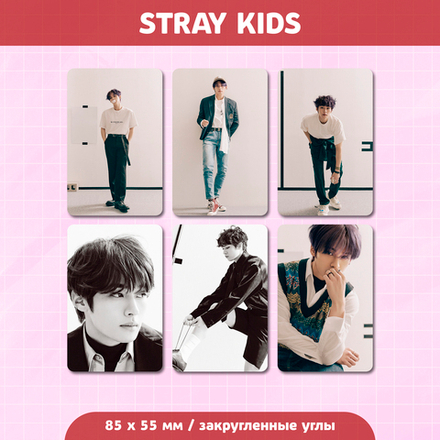 Сет карточек / STRAY KIDS #230 Lee Know