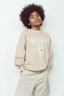 ZARA ТОЛСТОВКА С ПРИНТОМ HISTORY MUSEUM, БЕЖЕВО-КОРИЧНЕВЫЙ