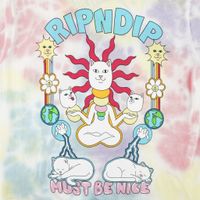  Футболка мужская Ripndip Etheral артикул:RND4966 - купить в магазине Дайс