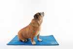 M-PETS Коврик охлаждающий FROZEN, размер XS, 30х40 см