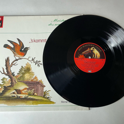 Винтажная виниловая пластинка LP Сборник Классической Музыки Werner Andreas Albert, S Kommt Ein Vogel Geflogen, Eskapaden Eines Gassenhauers (Германия 1978)