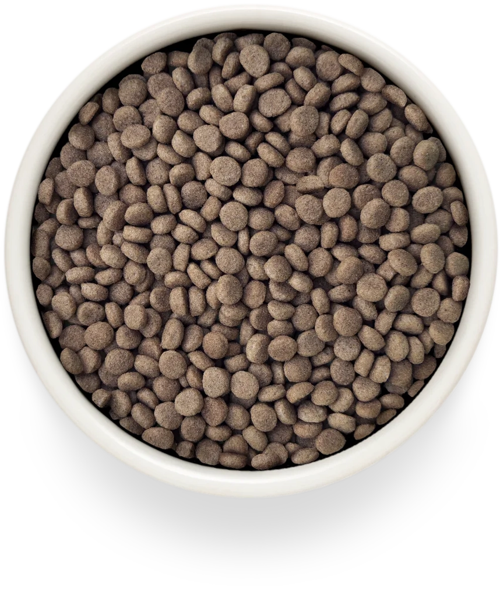 Grandorf URINARY S/O MODERATE CALORIE, Gluten & Grain Free, Veterinary Diet (Turkey)