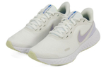 Кроссовки Nike Revolution 5 (Женская размерная сетка)