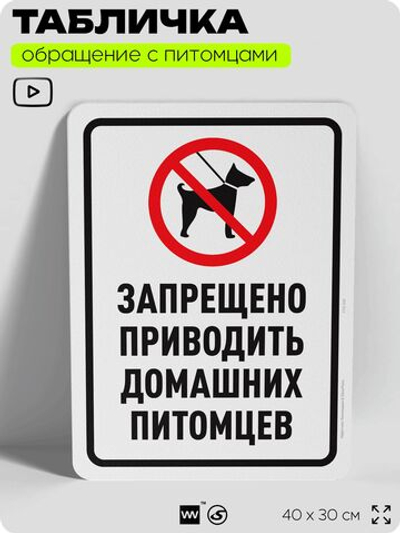 Табличка "Запрещено приводить домашних питомцев" на дверь и забор, для двора, дома, подъезда, 40х30 см, Silver Plane x Айдентика Технолоджи