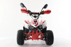 Квадроцикл MOTAX MIKRO 110 NEW