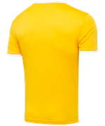 Футболка футбольная CAMP Origin, желтый/белый