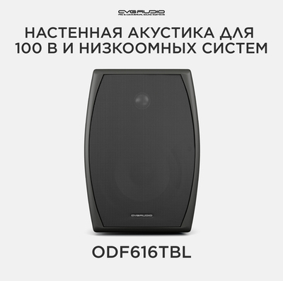 CVGAUDIO ODF616TBL Двухполосная настенная акустическая система