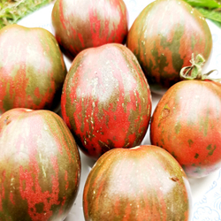 Помидоры Каликовые - Морские Колокольчики - Dwarf Maritime Bells Tomato