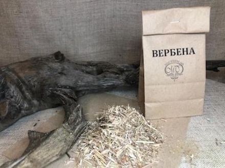 ВЕРБЕНА