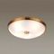 Потолочный светильник Odeon Light Walli Pelow 4956/5