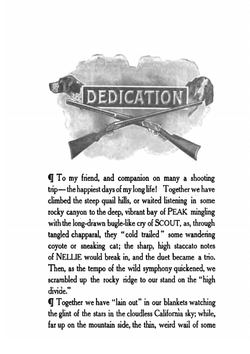 Exercising in Bed: The Story of an Old Body and Face Made Young | Sanford Bennett