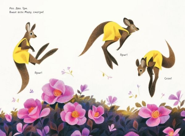 Кенгуру Малу