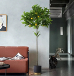 Лимонное дерево с плодами на штамбе 170 см