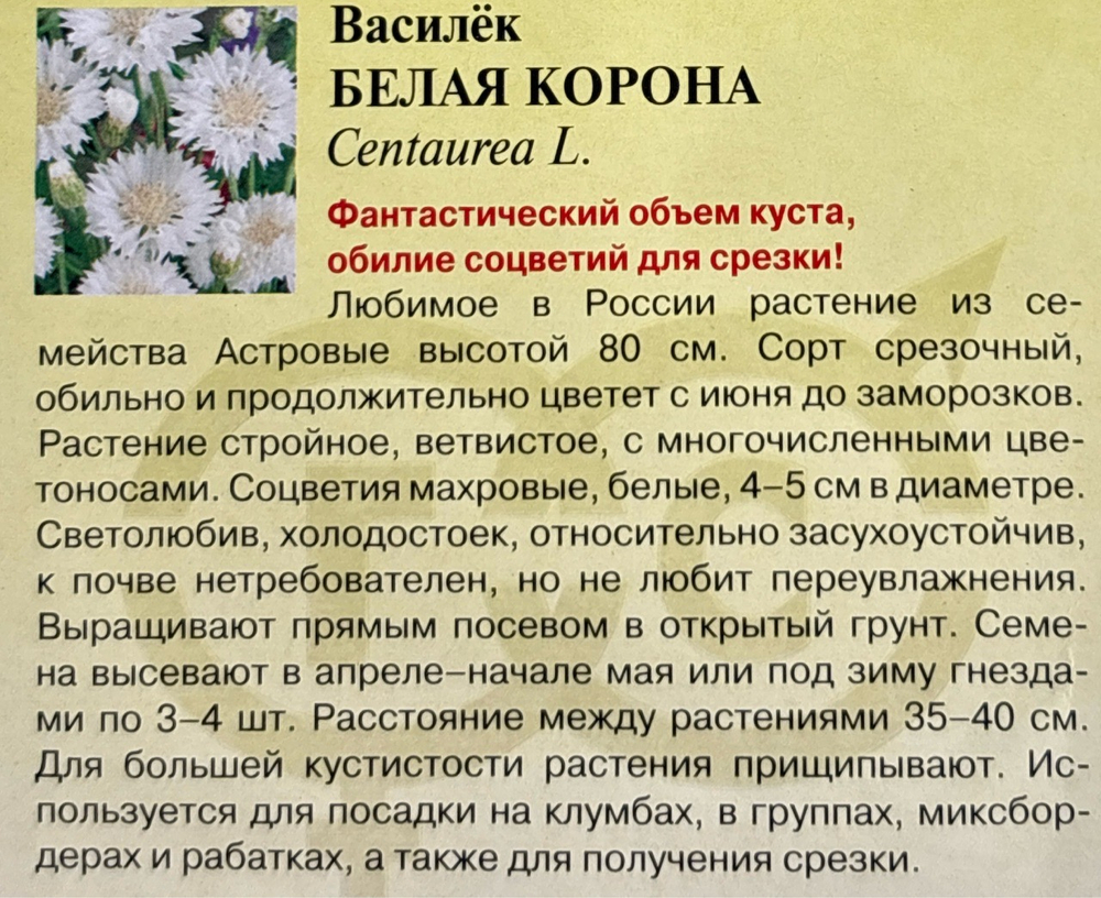 Василек Белая корона 0,2 г СМЦ-374