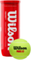 Мячи для падела Wilson X3 Padel Ball (3 мяча в банке)
