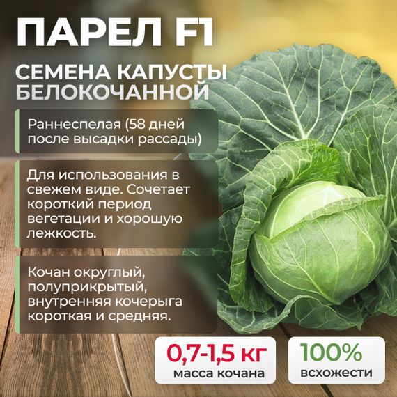 ПАРЕЛ F1 семена капусты белокочанной (Bejo) культура