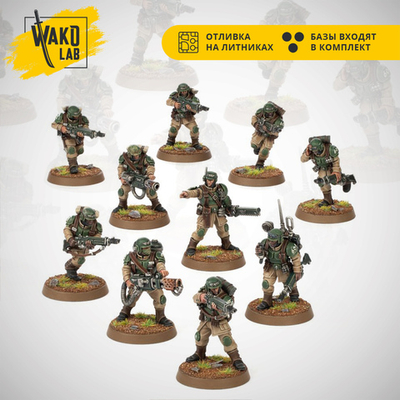 Cadian Shock Troops new (10)