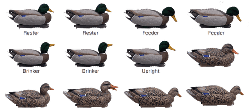 Кряква "FA LIVE MALLARD FLOATERS EVA FLOCKED HEADS" FA 12 шт.