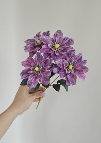 Клематис / Арт 2583