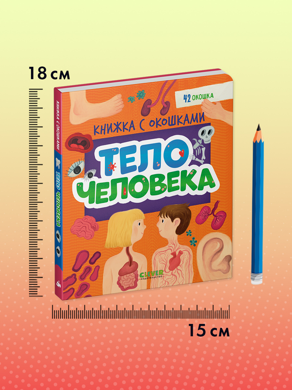 Книжка с окошками. Тело человека