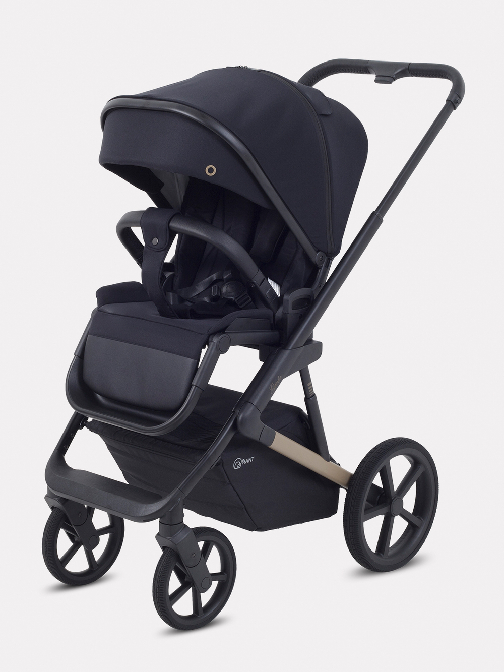 Коляска 2 в 1 Rant Garda