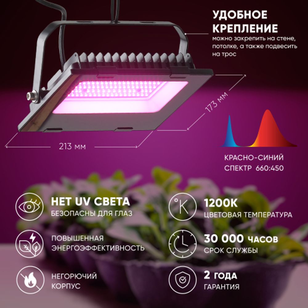 Фитопрожектор для растений светодиодный ЭРА FITO-50W-RB-LED для цветения и плодоношения красно-синего спектра 50 Вт