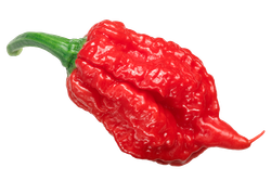 Каролина Рипер (Carolina Reaper) в ассортименте