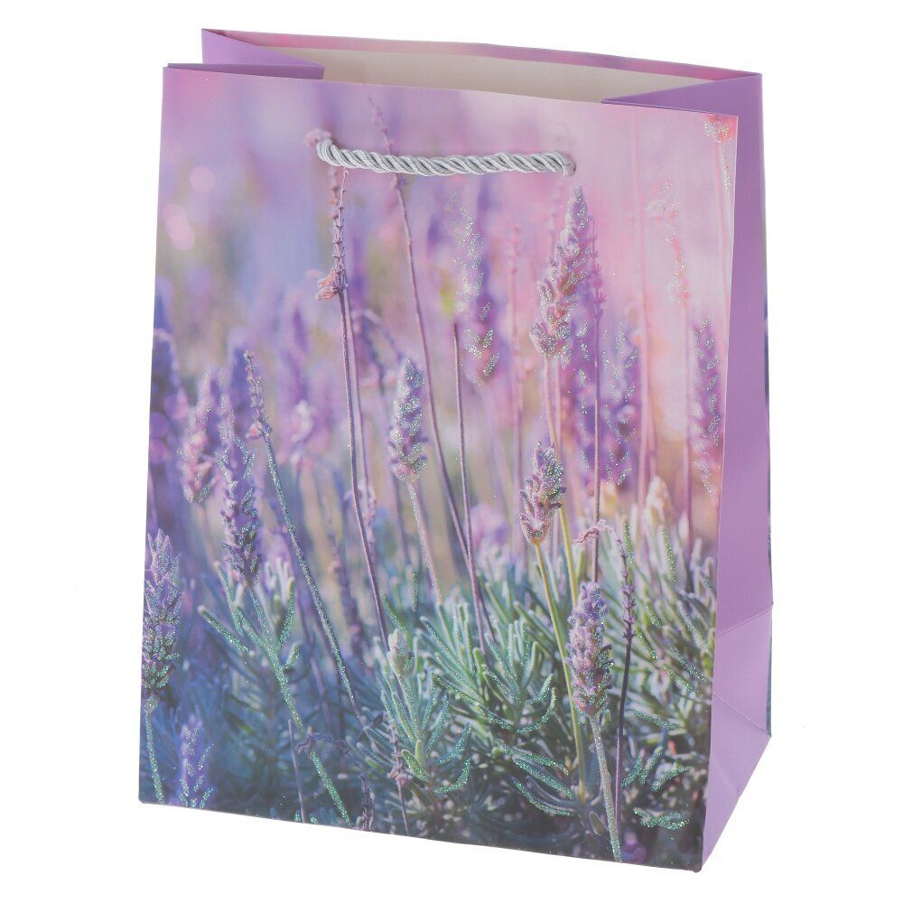 GAEM Пакет подарочный (бумага 210г/м2, блок 12шт), L18 W10 H23 см, 4в.