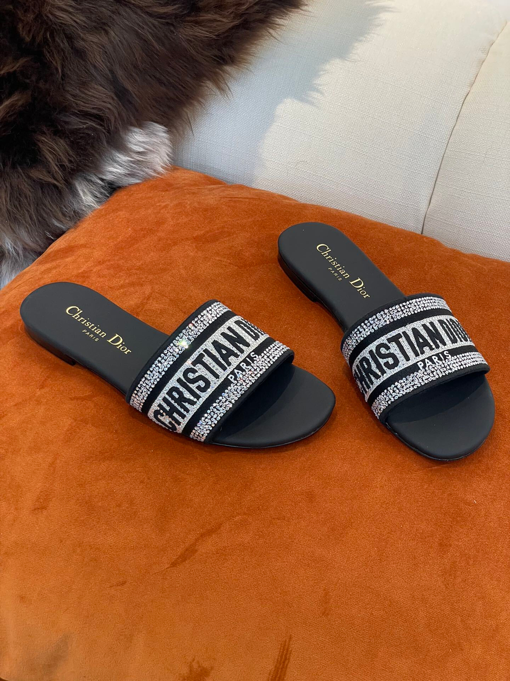 Christian Dior Dway Slide