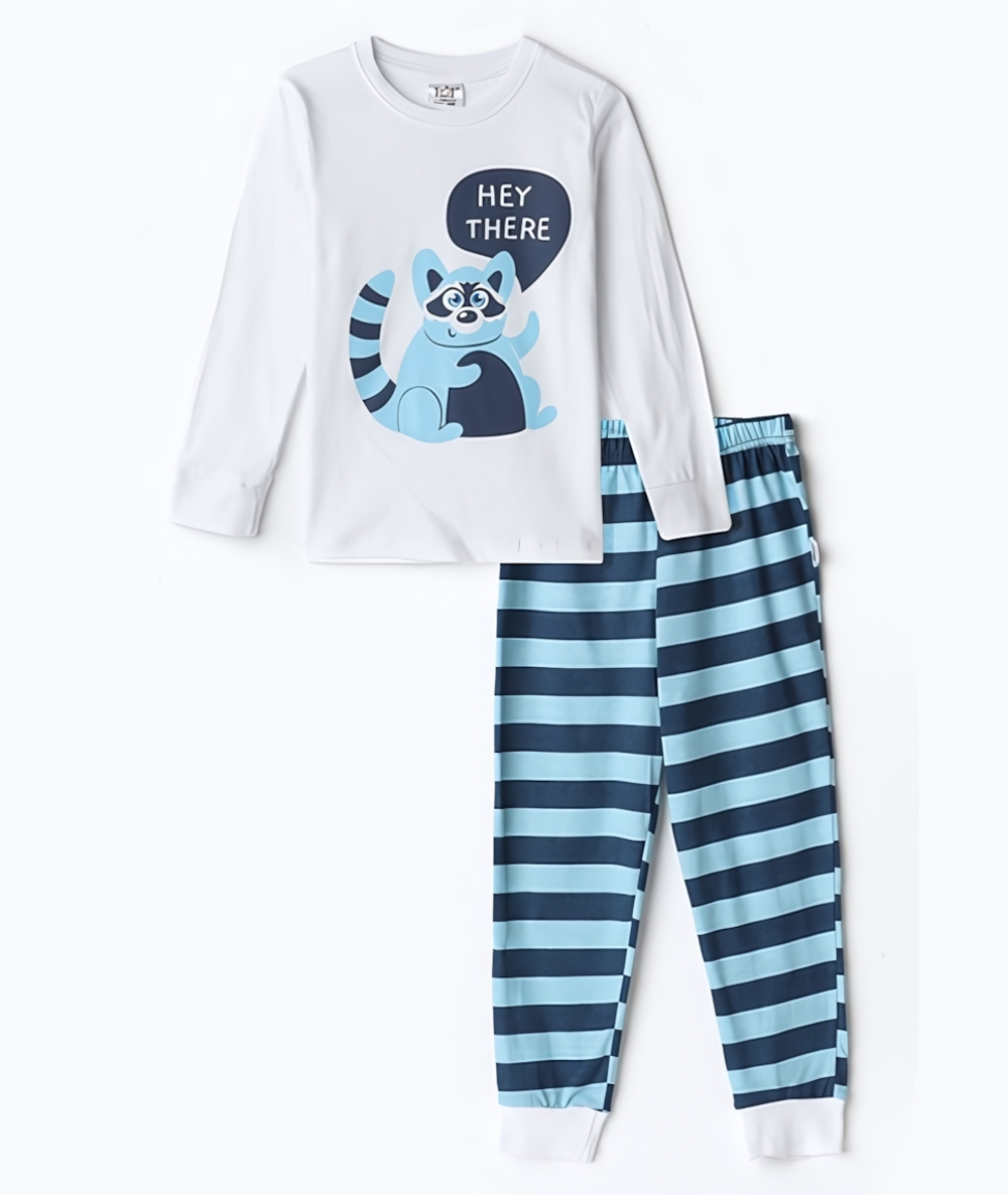 Пижама для мальчиков А.ПДЭМ-006, белый/синий/енот, р. 116см 9758863