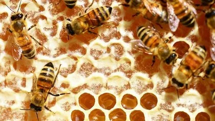 Как забыть про стоматологов?