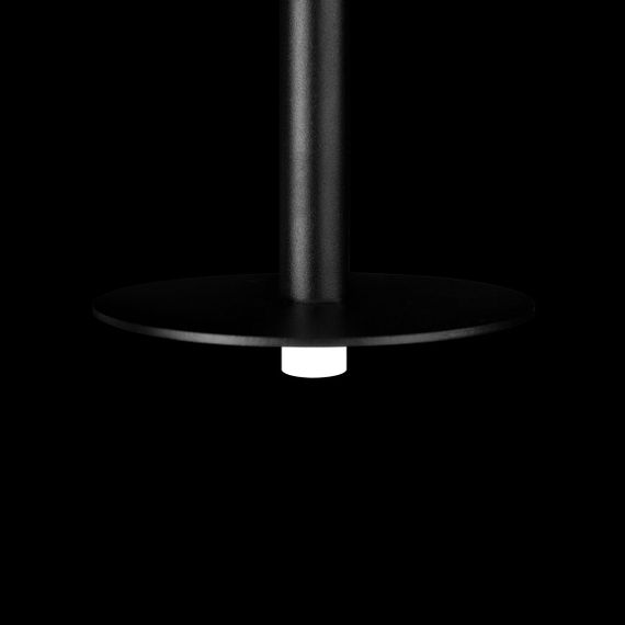 Подвесной светодиодный светильник Loft IT Reed 10358/830 Disk