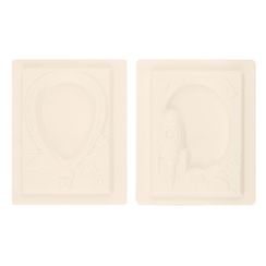 Gipsdən Çərçivə Lori  Кругосветное путешествие