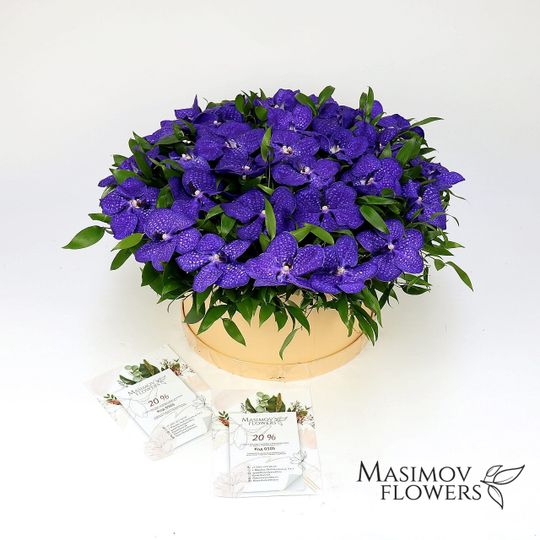 Композиция из орхидеи "Удивление"