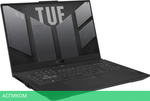 Ноутбук Asus TUF Gaming F17 FX707ZC4-HX095