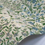 Rifle Paper Co. Second Edition