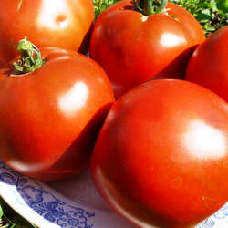 Помидоры Brandywine Black — Чёрный Бренди