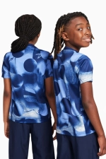 Футболка Nike Tottenham Hotspur 24/25 Academy Pro Junior