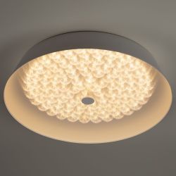 Светильник потолочный светодиодный ЭРА Классик с ДУ SPB-6-80-RC Locus RGB 80Вт RGB 3000-6500 с ДУ