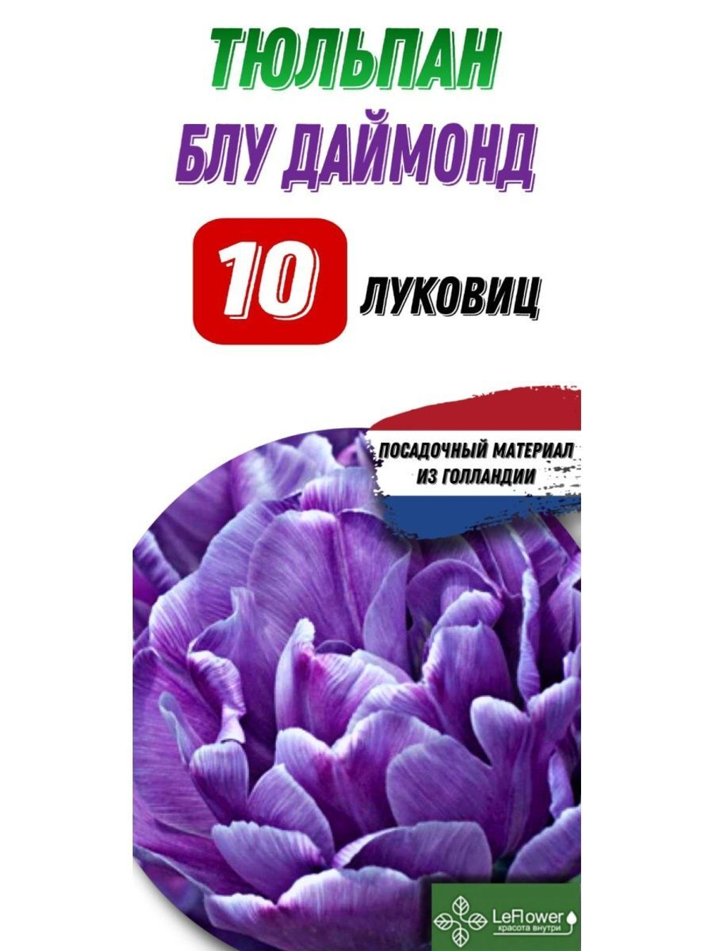 Тюльпан Луковица, Блу даймонд, 10шт