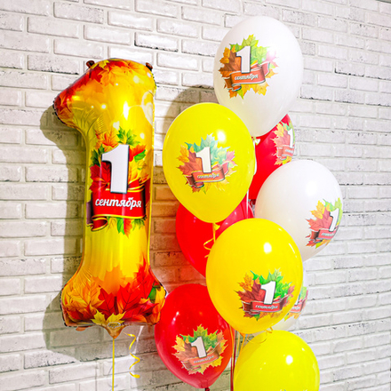 Набор шаров "Школа"