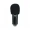 CAD U29 Black
