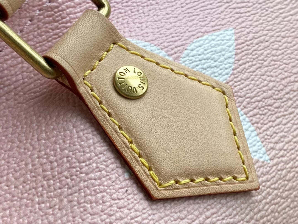 Louis Vuitton Speedy 25