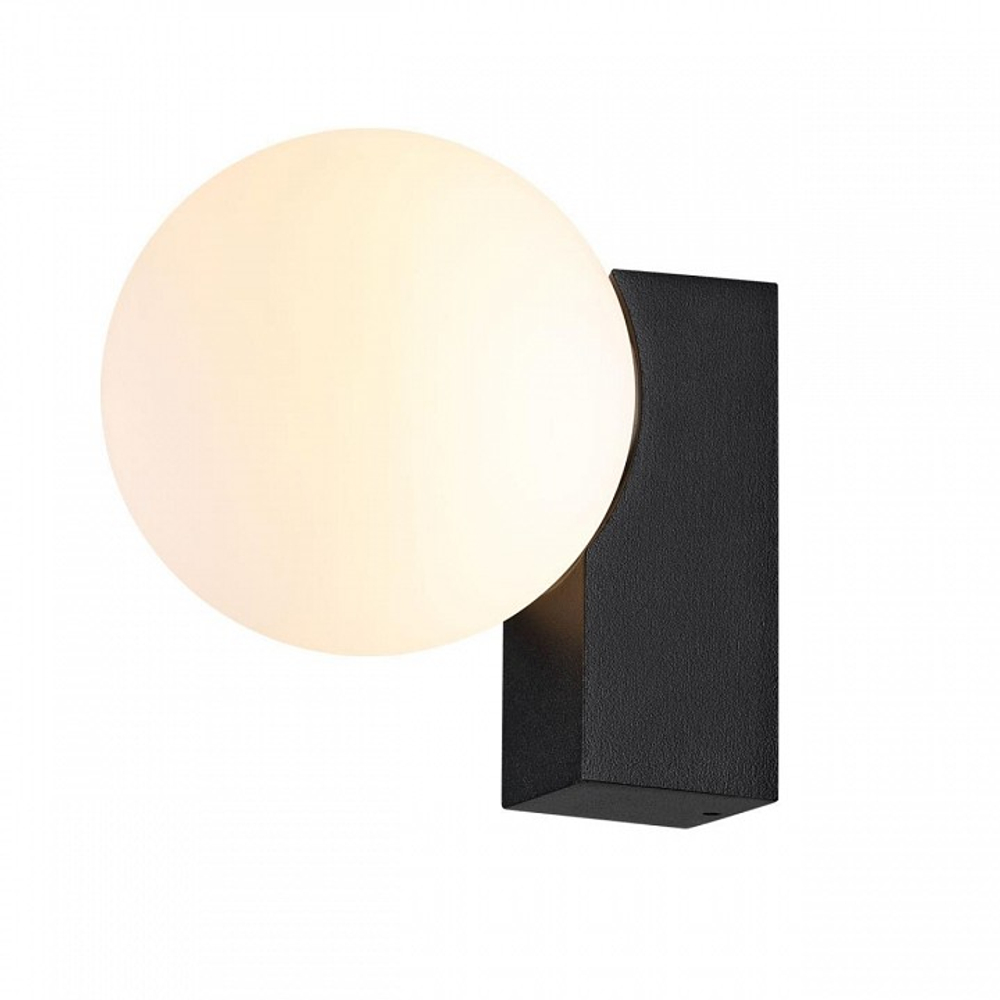 Накладной светильник Odeon Light NATURE 7124/1W