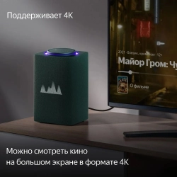 Умная колонка Yandex Станция Макс Zigbee Алиса зеленый 65W 1.0 BT/Wi-Fi 10м (YNDX-00053Z)