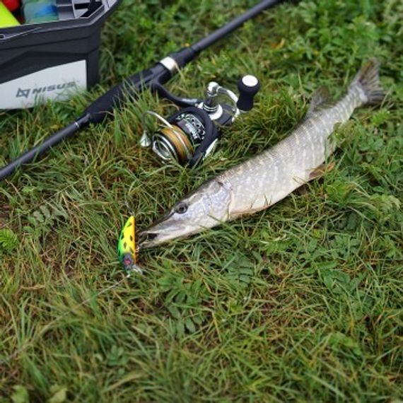 Катушка SHIKARA 3000F 6+1 подшип 5,1:1 Helios (HS-S3000F)