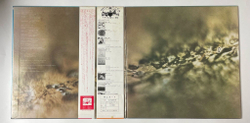 Винтажная виниловая пластинка LP Tangerine Dream Rubycon (Japan 1975) (Obi)