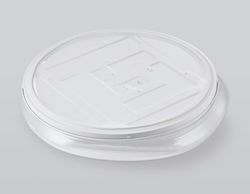 Ambrella Светодиодный светильник RGB с пультом управления Dance FZ1615