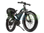 Электрофэтбайк E-motions Megafat 2-22 Premium