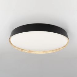 Citilux BONNY CL754451G LED RGB Светильник с пультом Чёрный + Клён